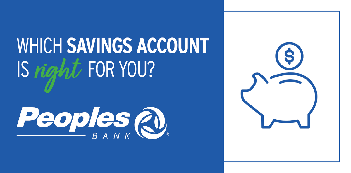 Which savings account is best for you? Blue piggy bank with a coin inserted